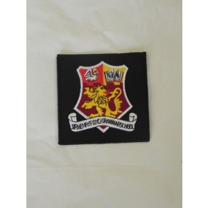SEW ON BLAZER BADGE