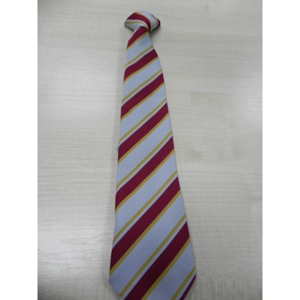 SHF ASCOT TIE