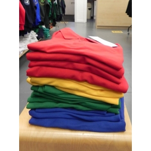 PE Polo - House Colour