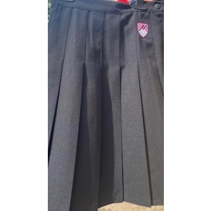 School skirt